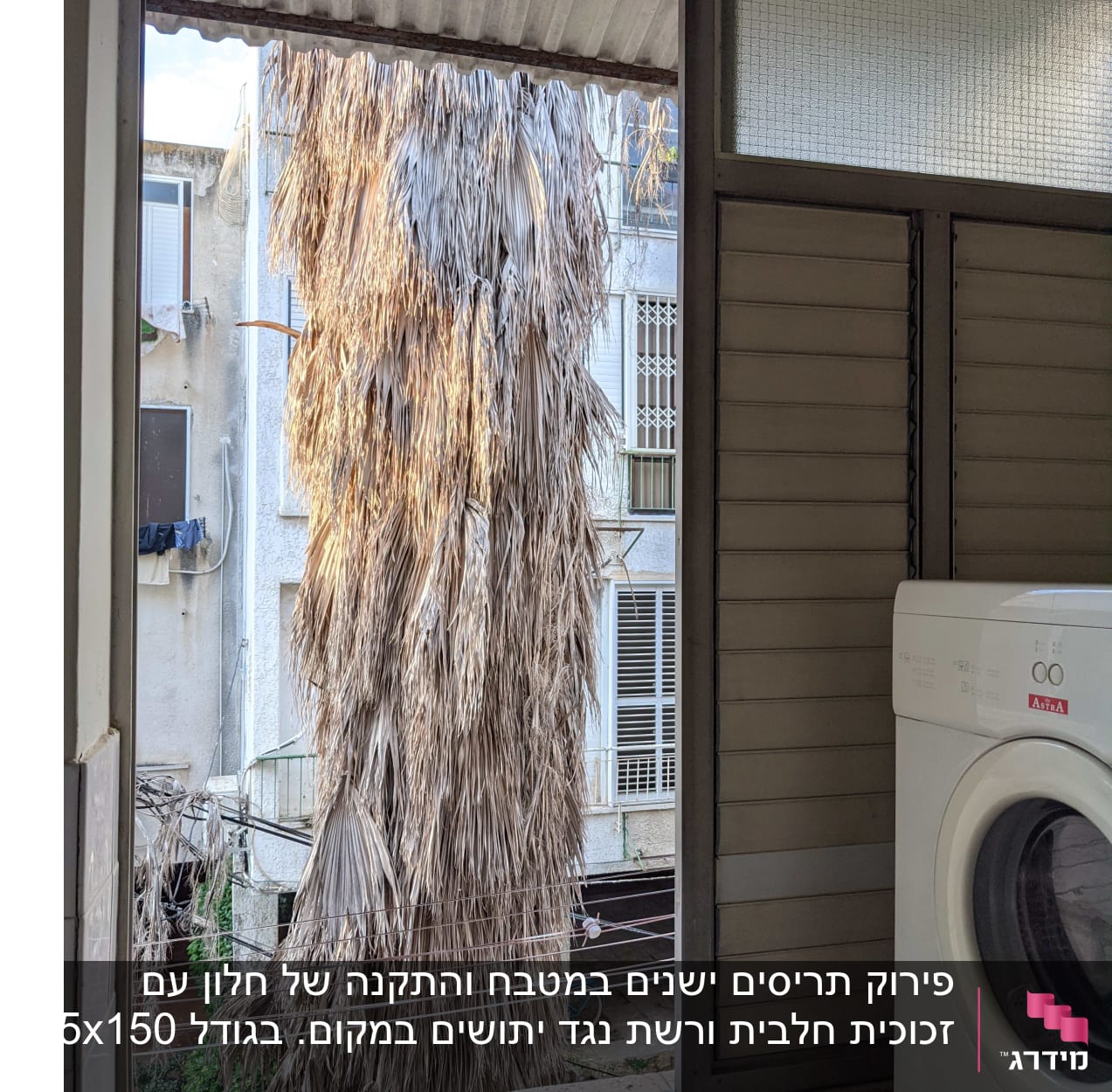 התריסים הישנים